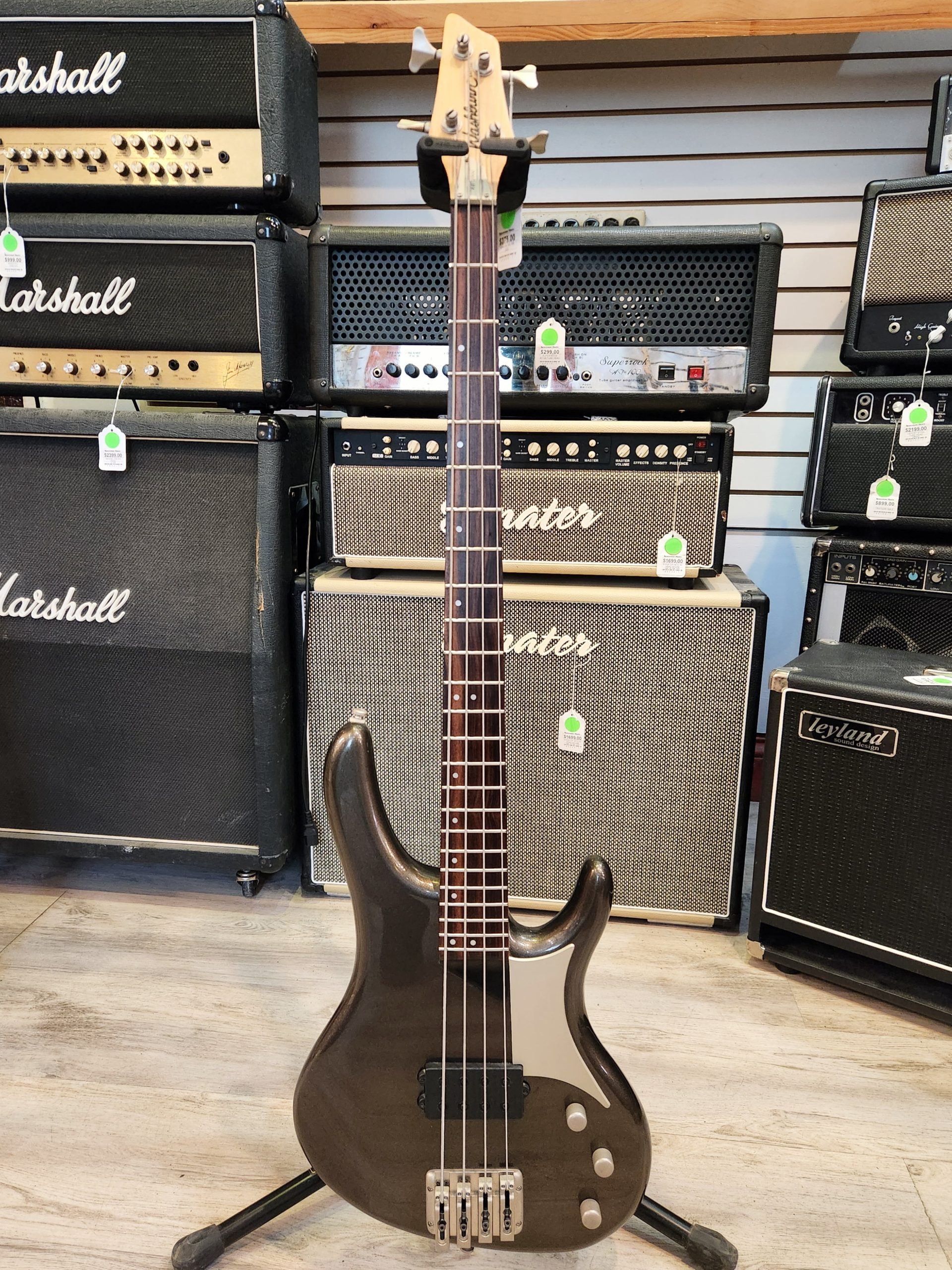 Washburn RB2000
