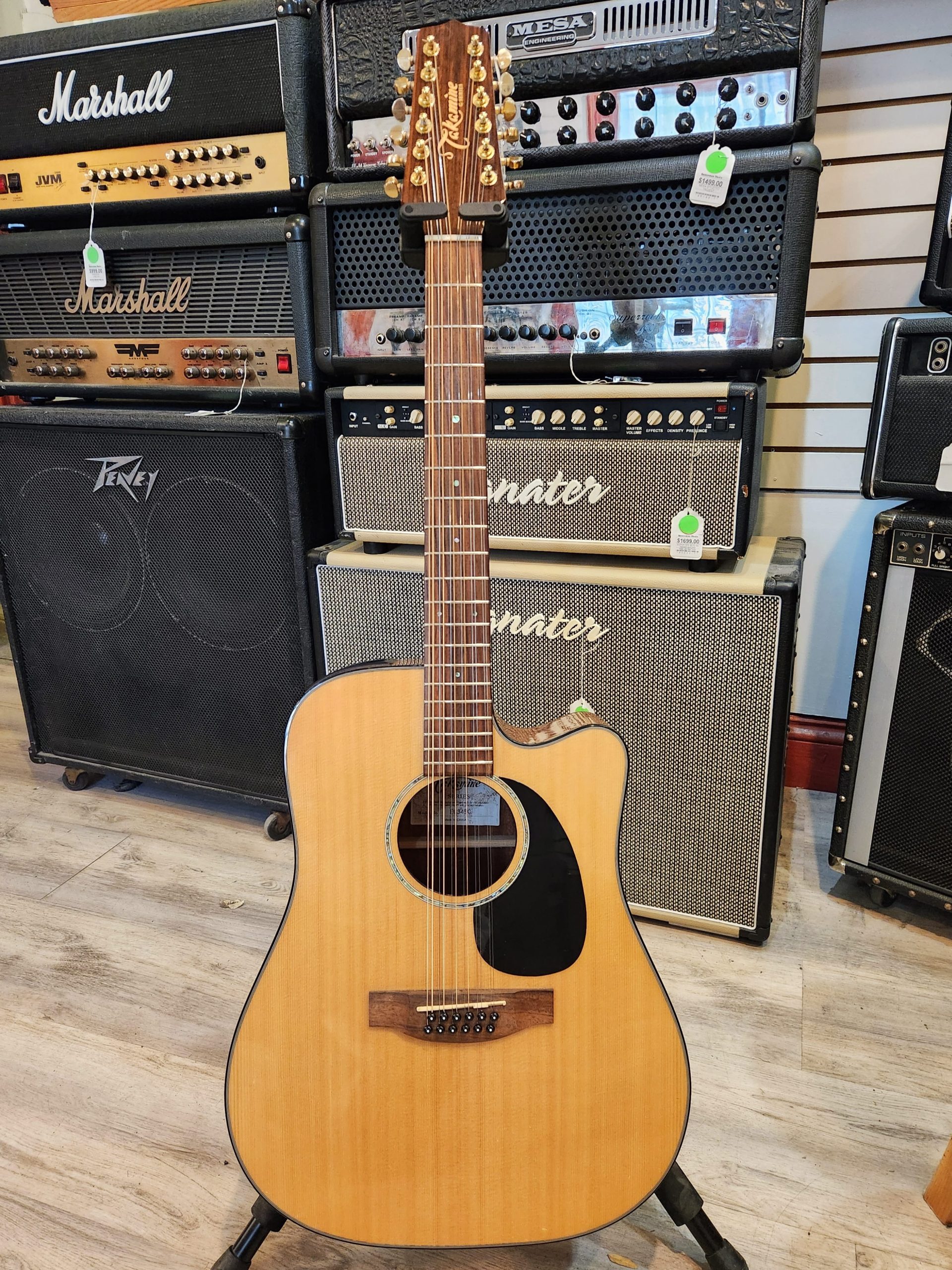 Takamine EG345C-12