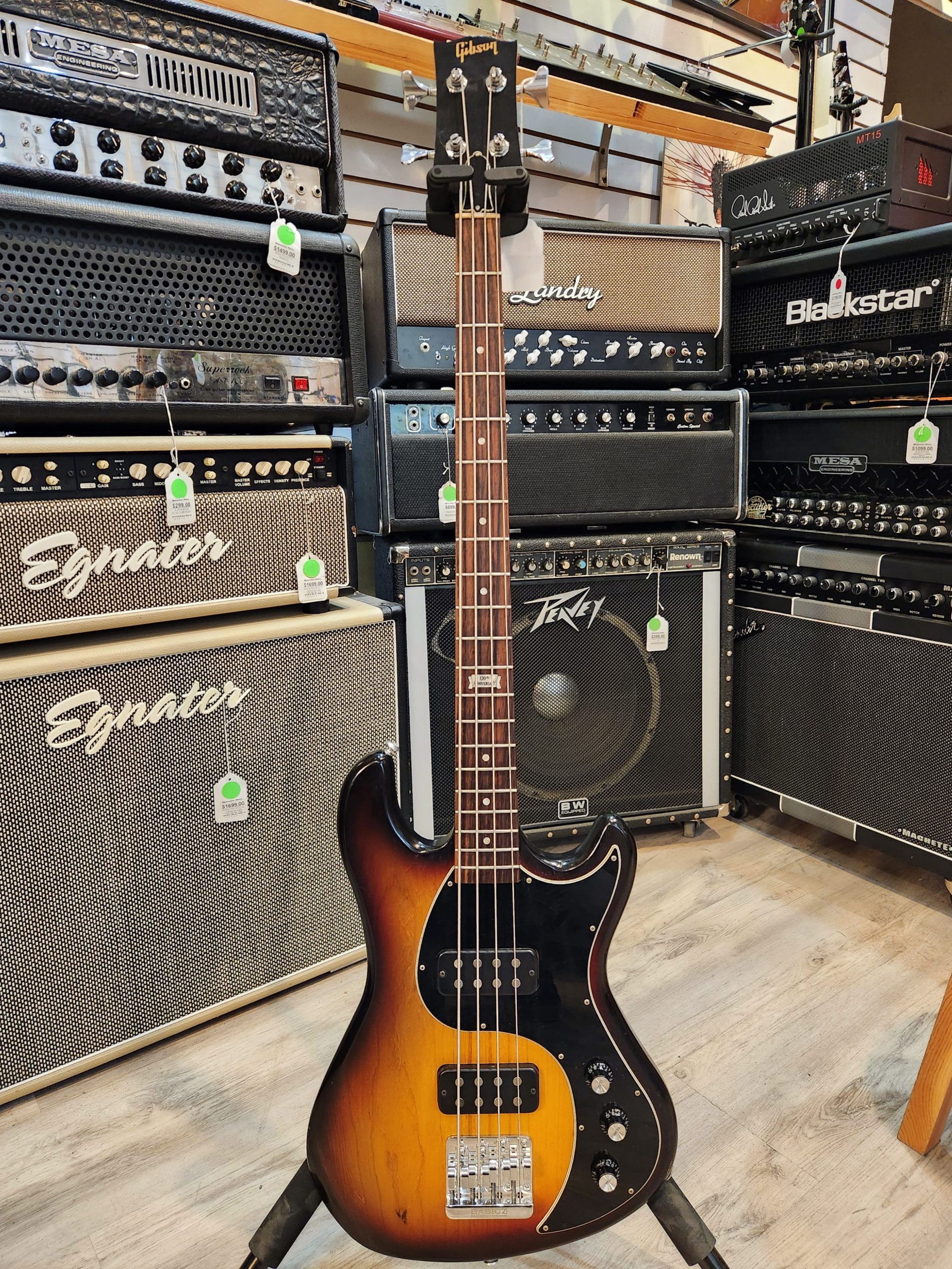 Gibson EB Bass